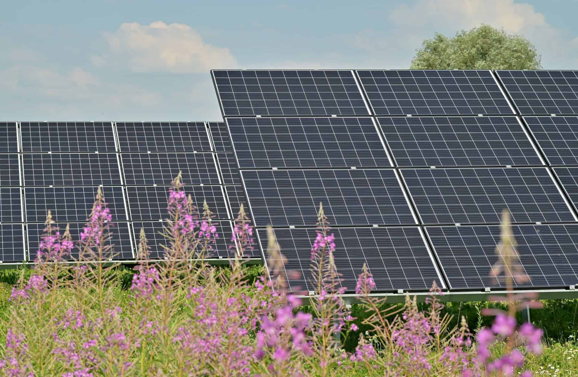 Come usare PVGIS per progettare impianti fotovoltaici efficaci in Italia